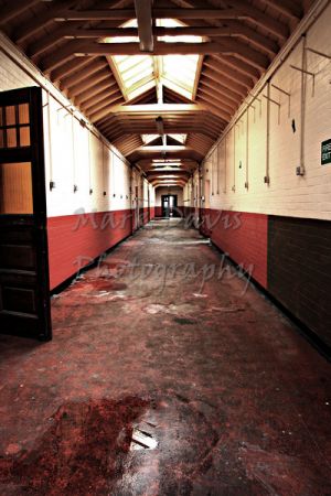 red corridor-c80.jpg
